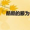 酷酷的滕为什么怼宝哥（酷酷的滕是谁）
