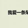 我爱一条柴是什么意思（我爱一根材）