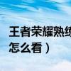 王者荣耀熟练度怎么看等级（王者荣耀熟练度怎么看）