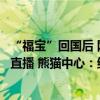 “福宝”回国后 网民无视规定长期对神树坪基地非展区进行直播 熊猫中心：终身禁入