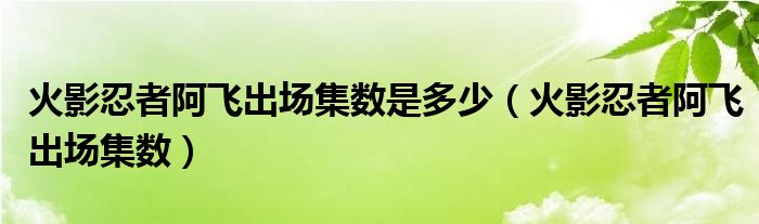 火影阿飞出现在哪几集（火影忍者阿飞出场集数动画）