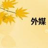 外媒：本田总部遭入内检查