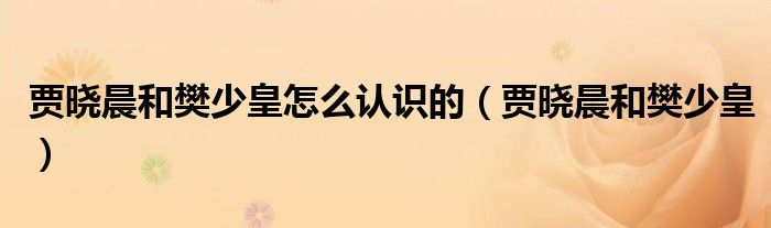 贾晓晨有多爱樊少皇（樊少皇和贾晓晨现在怎么样了）