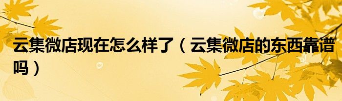 云集微店怎么赚钱（云集微店模式介绍）