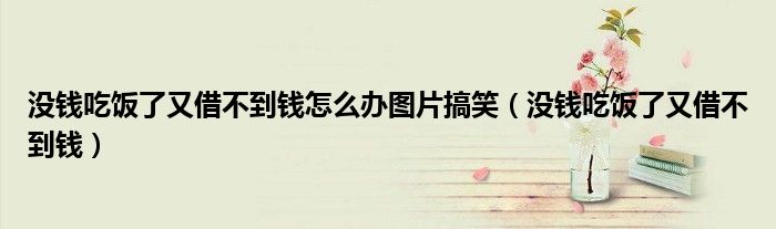 没钱吃饭了借不到钱怎么办（没钱吃饭了又借不到钱怎么办啊）