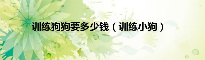 训练狗狗得多少钱（训练狗狗一般多少钱一只）