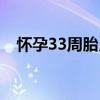 怀孕33周胎儿体重多少正常（怀孕33周）