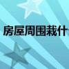 房屋周围栽什么树好（房前屋后种什么树好）