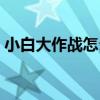 小白大作战怎么换成棋牌软件（小白大作战）