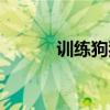 训练狗狗要多少钱（训练小狗）