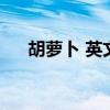 胡萝卜 英文单词（胡萝卜的英文单词）