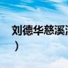刘德华慈溪演唱会2001（刘德华慈溪演唱会）