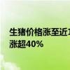 生猪价格涨至近18个月高位 江西猪王成功“摘帽” 股价已涨超40%
