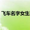 飞车名字女生高冷俩字（飞车名字大全女生）