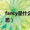 fancy是什么意思啊（fancy形容女孩什么意思）