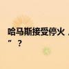 哈马斯接受停火，战争结束在即，巴勒斯坦政府为何“隐身”？