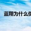 蓝翔为什么倒闭（蓝翔为什么被成为笑话）