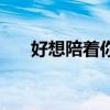 好想陪着你一直走下去（好想陪着你）