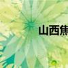 山西焦煤：董事长赵建泽辞职