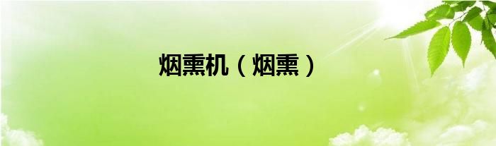 全自动烟熏机（烟熏器怎么用）