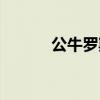 公牛罗斯身高体重（公牛罗斯）