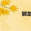 驯龙记二（训龙记2电影）