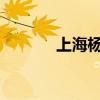 上海杨千嬅演唱会门票多少钱