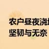 农户昼夜浇地抗旱累得睡倒在田里 高温下的坚韧与无奈