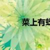 菜上有蚜虫怎么治（蚜虫怎么治）