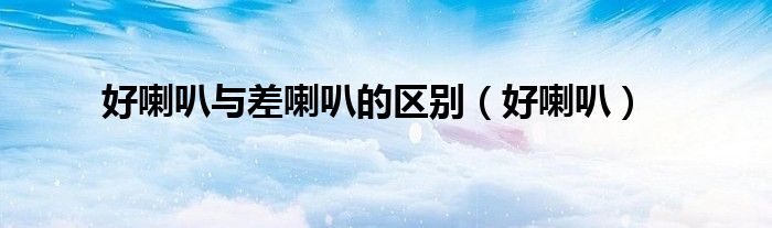 最好的喇叭是哪一种（什么是好喇叭）
