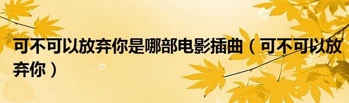 可不可以放弃你 歌词（可不可以放弃你 歌词）