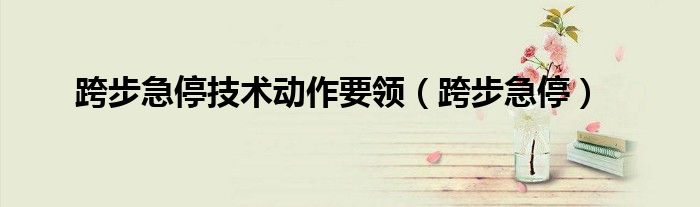 跨步急停和跳步急停教案（跨步急停和跳步急停的技术要领）