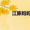 江豚妈妈伴着晚霞产下一头豚宝宝
