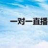 一对一直播卖包 LV在讨好中国消费者吗