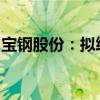 宝钢股份：拟终止分拆宝武碳业至创业板上市