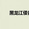 黑龙江倭肯河发生2024年第2号洪水
