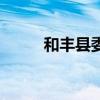 和丰县委书记毕升简历（和丰县）