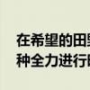 在希望的田野上丨抗旱抢种保苗 各地夏收夏种全力进行时