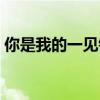 你是我的一见钟情英文（你是我的一见钟情）