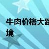 牛肉价格大跳水 养一头牛亏6000 养殖户陷困境