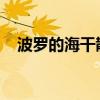 波罗的海干散货运价指数连续第三周上涨