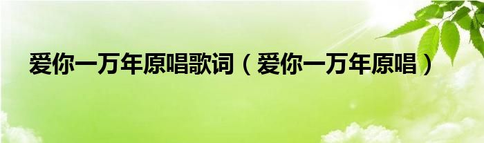 爱你一万年原唱DJ花姐（爱你一万年原唱视频）