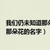 我们仍未知道那朵花的名字最终花是什么名（我们仍未知道那朵花的名字）