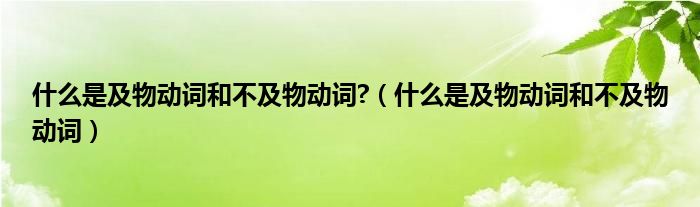 什么是不及物动词和及物动词（什么是及物动词什么是不及物动词）
