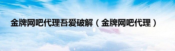 金牌网吧皮肤（金牌网吧特权软件免费绿色版）