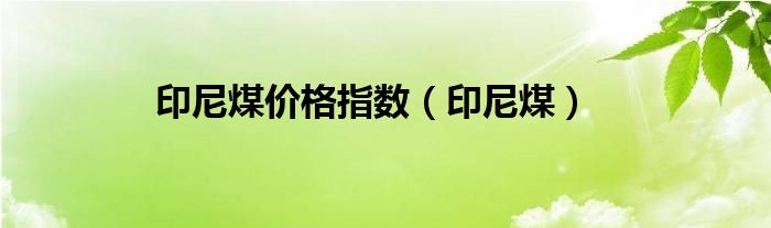 印尼煤涨价（印尼煤炭价格最新消息）