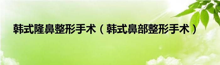 韩式隆鼻效果（韩式隆鼻整形手术价格）