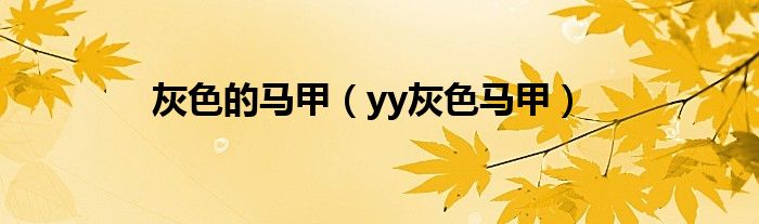 灰色马甲好看吗女生（灰色马甲好看吗）