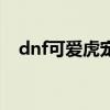 dnf可爱虎宠物加多少名望（dnf可爱虎）