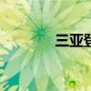 三亚登记游艇总数达1396艘